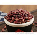 Kidney Beans Nutrition